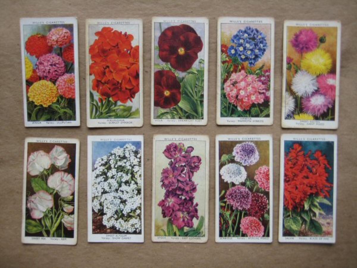 Cigarette & Trade Cards