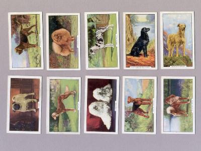 Gallahers - Dogs, Second series