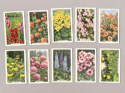 Gallahers - Garden Flowers