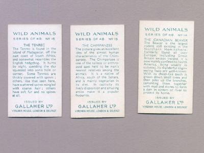 Wild Animals -  select me for a larger image