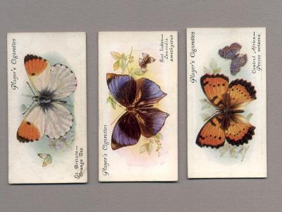 Butterflies, 1932 -  select me for a larger image