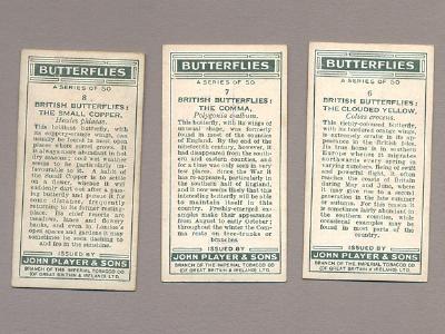 Butterflies, 1932 -  select me for a larger image
