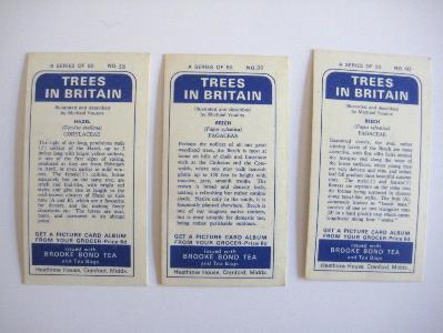 Trees in Britain, Brooke Bond -  select me for a larger image