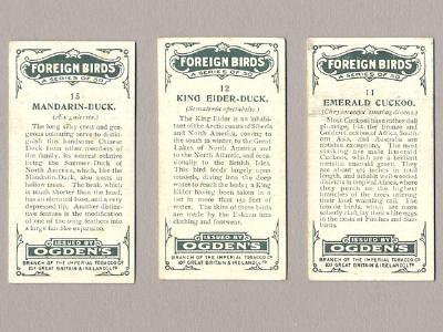Foreign Birds by Ogdens -  select me for a larger image