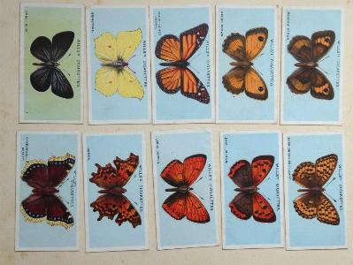 British Butterflies -  select me for a larger image