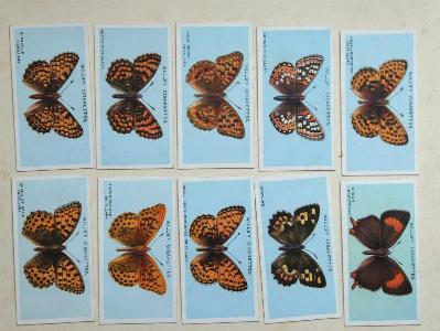 British Butterflies -  select me for a larger image