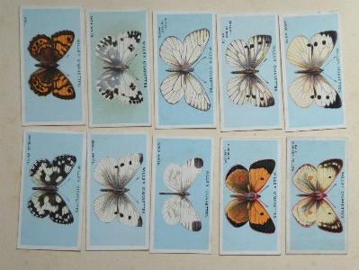 British Butterflies -  select me for a larger image