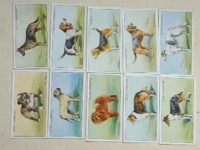 W D & H O Wills - Dogs, A series