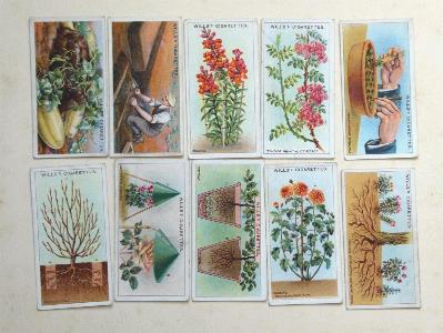 Gardening hints -  select me for a larger image