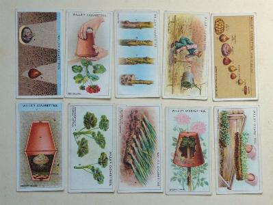 Gardening hints -  select me for a larger image