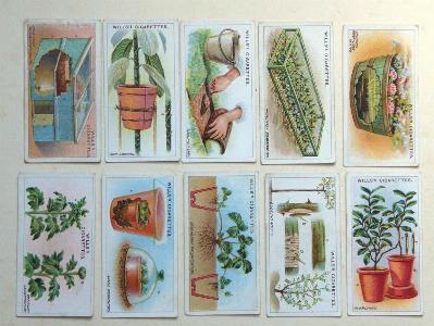 Gardening hints -  select me for a larger image