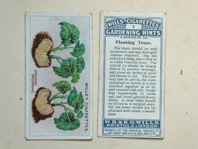 Gardening hints -  select me for a larger image