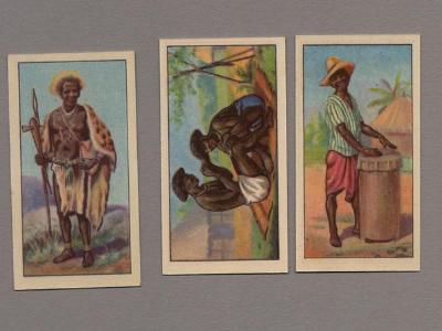 Raydex CWS, African Types -  select me for a larger image