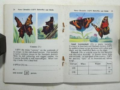 I-Spy Butterflies and Moths -  select me for a larger image