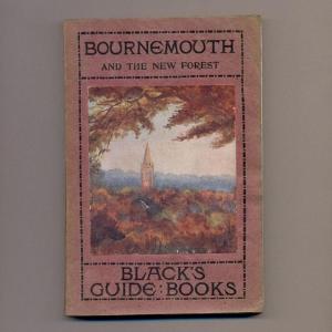Bournemouth and New Forest -  select me for a larger image