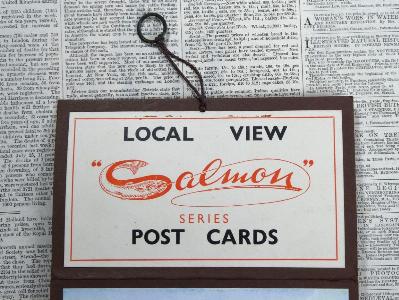 Torquay and Paignton, shop display -  select me for a larger image