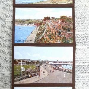 Torquay and Paignton, shop display -  select me for a larger image