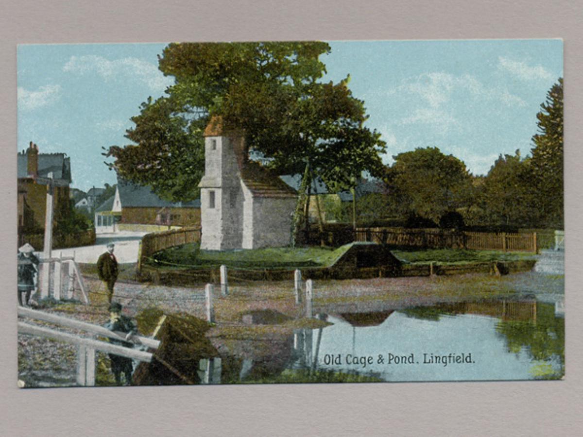 Lingfield, Old cage and pond -  select me for a larger image