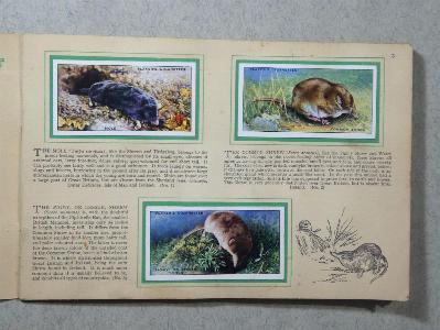 Animals of the Countryside -  select me for a larger image