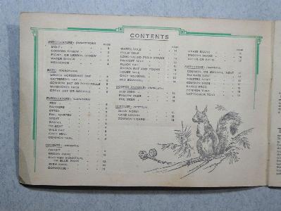 Animals of the Countryside -  select me for a larger image