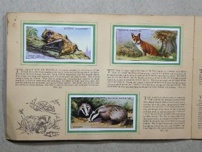 Animals of the Countryside -  select me for a larger image