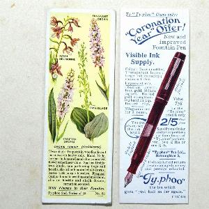 Wild Flowers in their Families, 2nd -  select me for a larger image